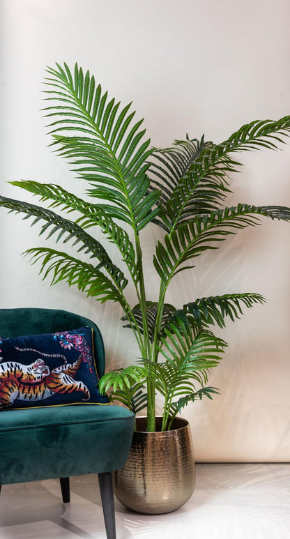Kunstplant Howea Forsteriana 160cm – Paradijspalm met donkergroene bladeren voor woonkamer of kantoor