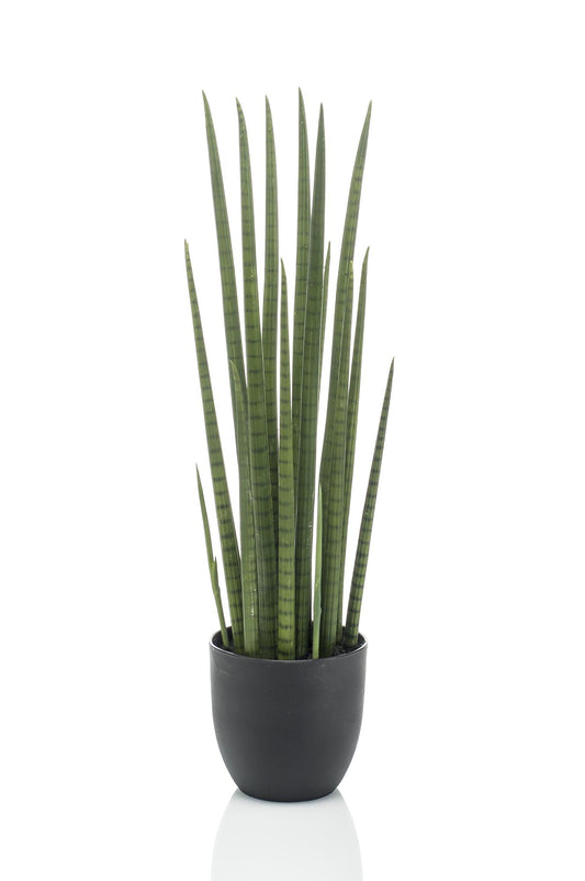 Sanseveria Cylindrica 70cm – Vrouwentong kunstplant voor woonkamer, kantoor of slaapkamer