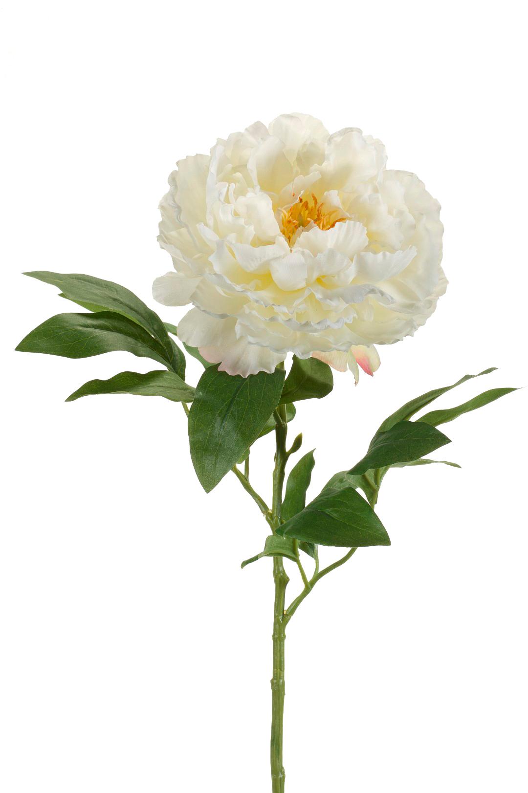 Boeket Peonies wit 65 cm – kunst pioenrozen van Woonware in crèmekleur