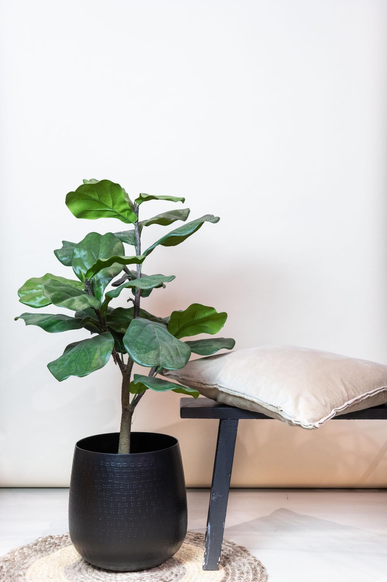 Kunstplant Ficus Lyrata 90cm – Tabaksplant met grote vioolvormige bladeren voor woonkamer of kantoor