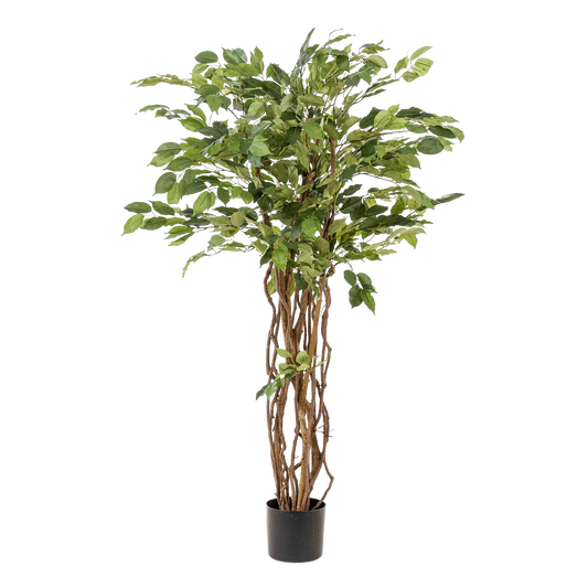 Kunstplant Ficus Liana 140cm – Vioolbladplant met realistische stam en bladeren voor woonkamer of serre