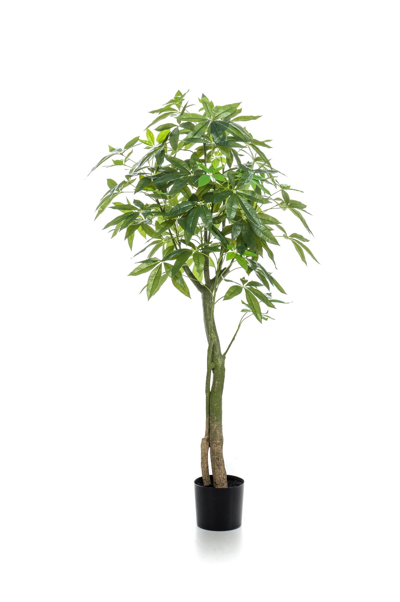 Kunstplant Pachira Aquatica 150cm – Geldboom groen woonaccessoire