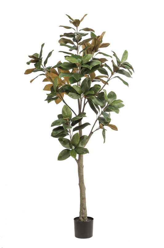Kunstplant Magnolia Grandiflora 180cm met realistische bladeren en stam voor woonkamer of kantoor