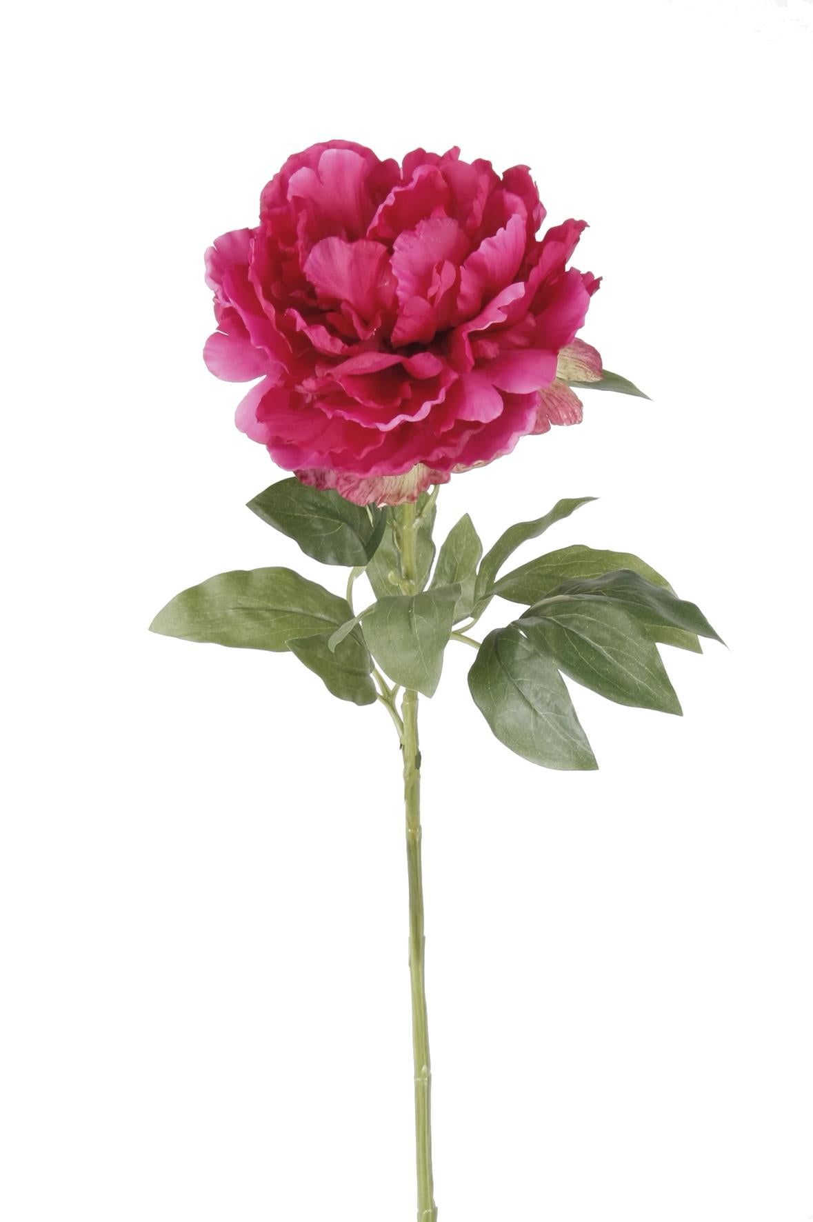 Boeket Peonies donkerroze 65 cm – kunst pioenrozen van Woonware met realistische bloemen

