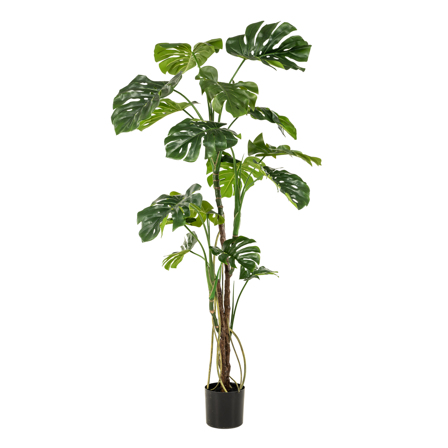 Kunstplant Monstera 180 cm grote gatenplant groen Woonware