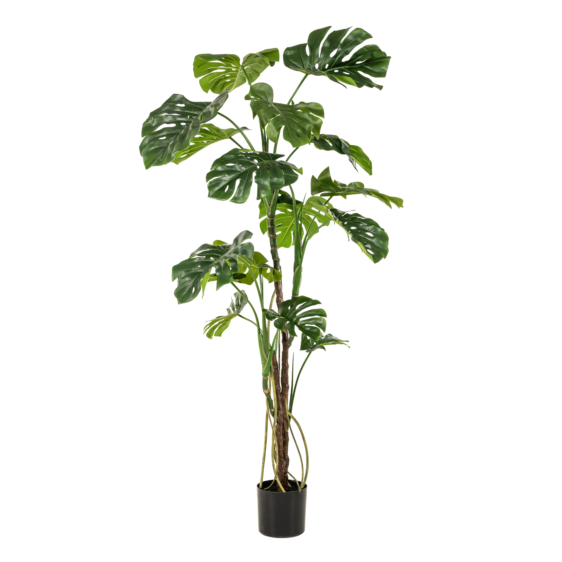 Kunstplant Monstera 180 cm grote gatenplant groen Woonware