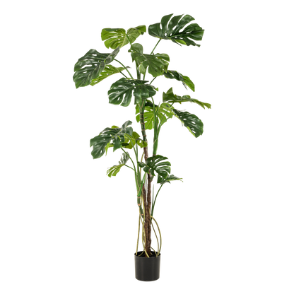 Kunstplant Monstera 180 cm grote gatenplant groen Woonware