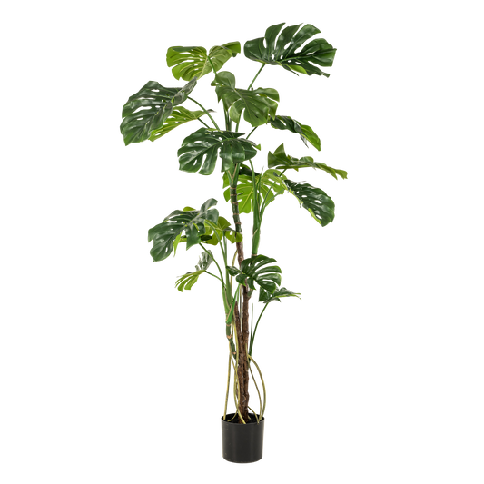 Kunstplant Monstera 180 cm grote gatenplant groen Woonware