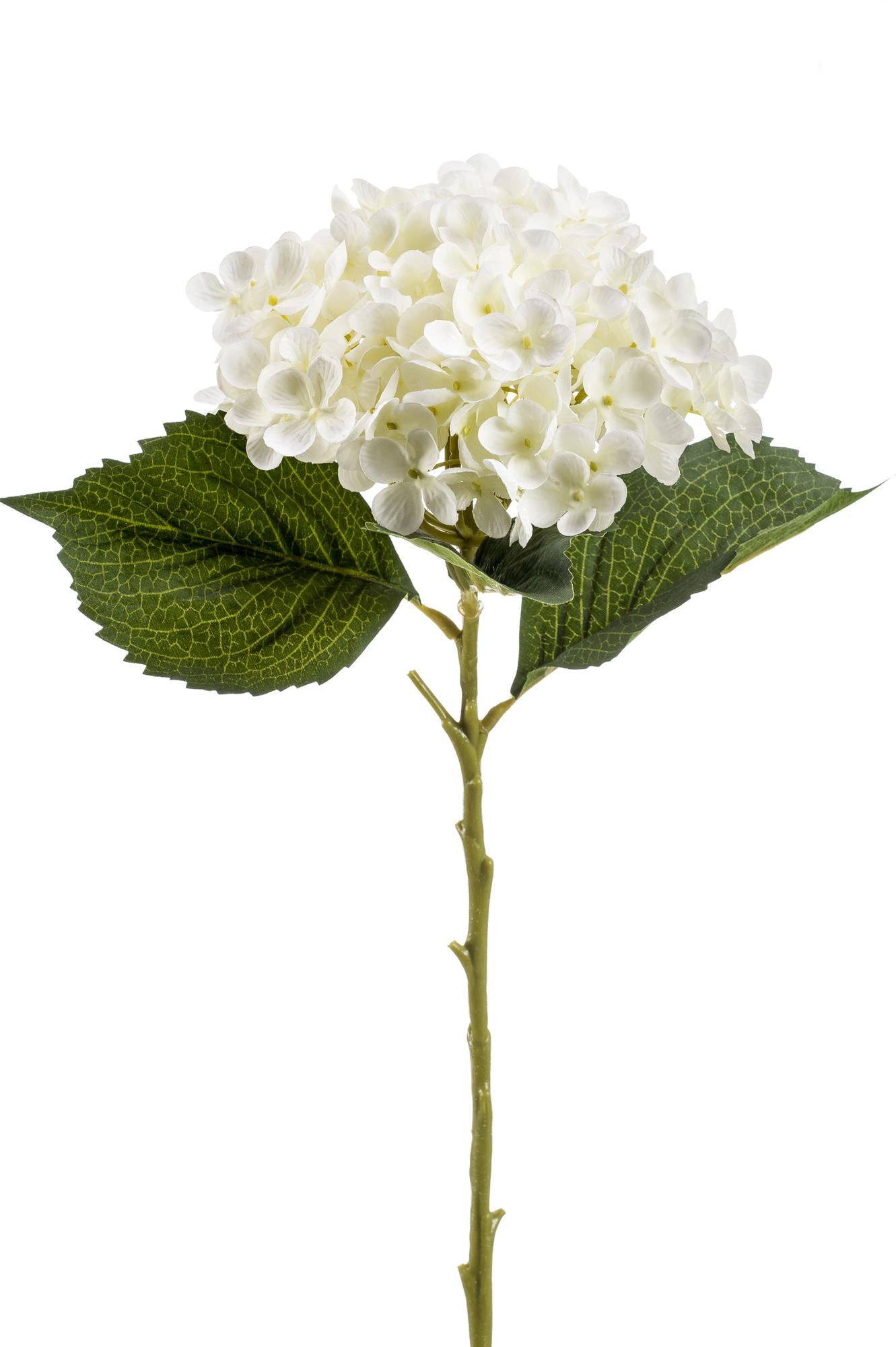 Hortensia takken wit 52 cm – kunst hortensia’s van Woonware in crème witte kleur