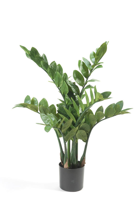Kunstplant Zamioculcas 70cm – Kamerpalm ZZ plant groen