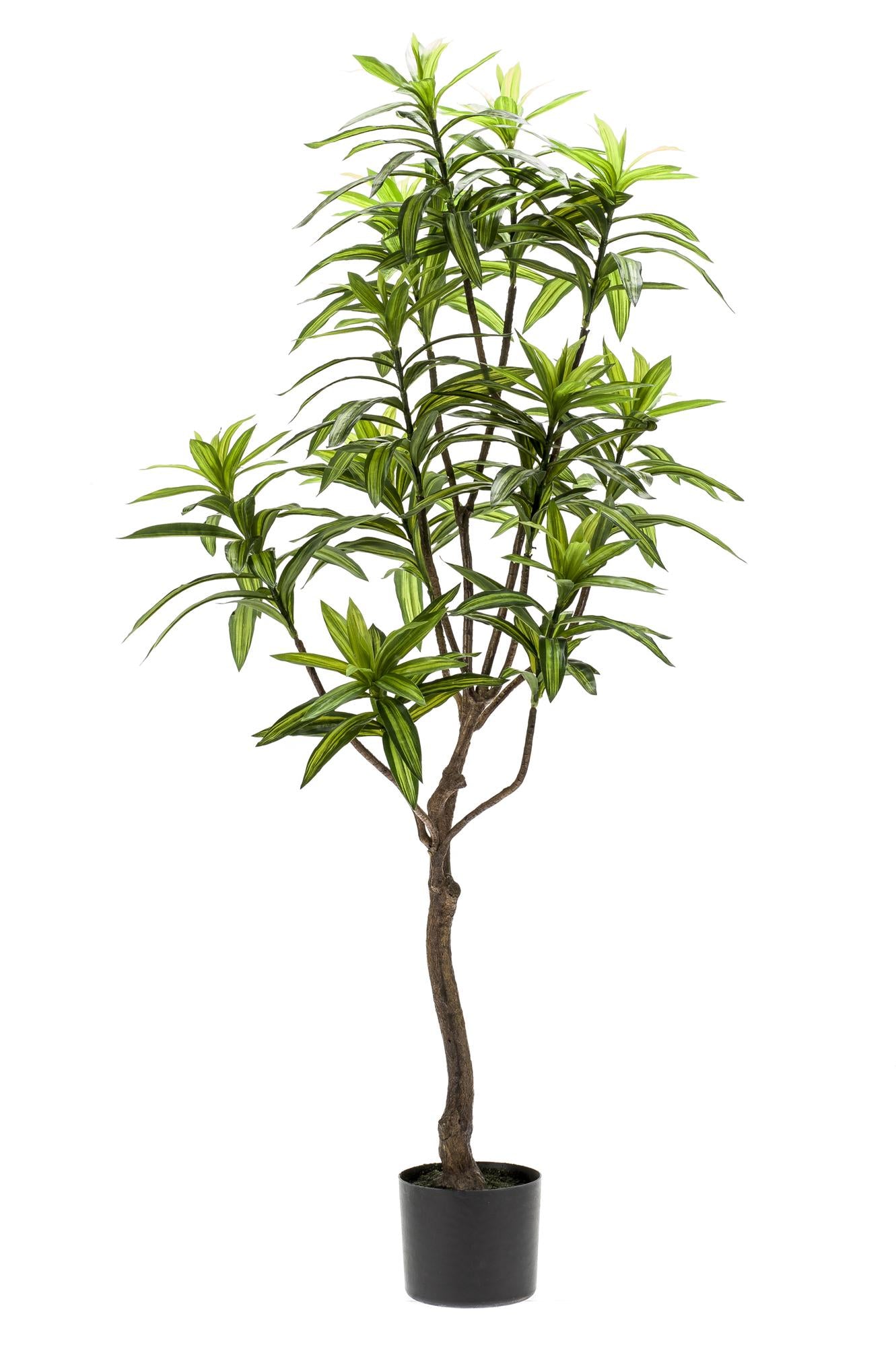 Kunstplant Dracaena 130cm – Drakenboom met tweekleurige bladeren voor woonkamer of kantoor