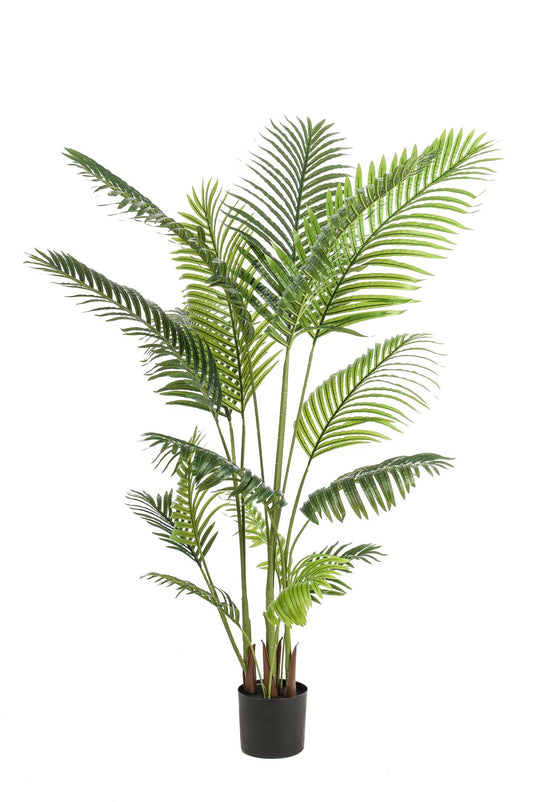 Kunstplant Howea Forsteriana 160cm – Paradijspalm met donkergroene bladeren voor woonkamer of kantoor