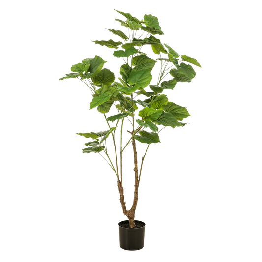 Kunstplant Ficus Umbellata 125cm – Afrikaanse vijg met realistische bladeren voor woonkamer of kantoor